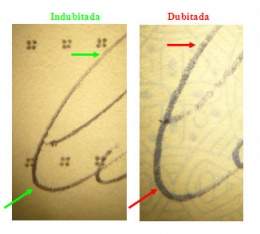 260px documentología